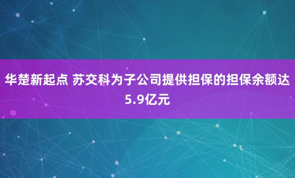 华楚新起点 苏交科为子公司提供担保的担保余额达5.9亿元