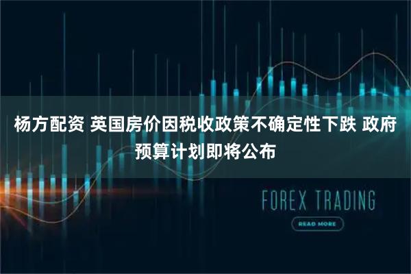 杨方配资 英国房价因税收政策不确定性下跌 政府预算计划即将公布