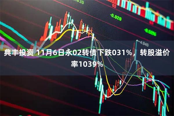 典丰投资 11月6日永02转债下跌031%，转股溢价率1039%